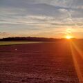 Unser Revier...wie hätte Dein Fell in der Sonne gestrahlt....