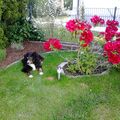 geliebtes Bubele im Garten