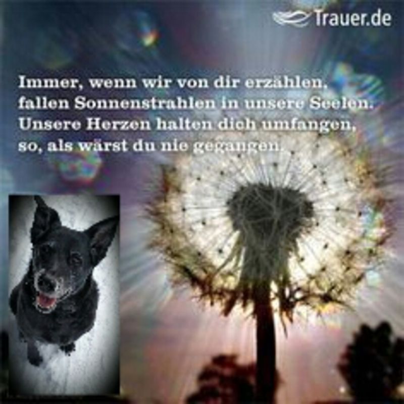 Immer Wenn Wir Von Dir Erzählen Sly - Immer wenn wir von dir erzählen fallen Sonnenstrahlen in unsere