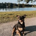 Unser kleiner Engel Mia