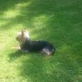 Mein kleine Schatz hippo noch nach 6 Jahren tut es so weh vermiss
