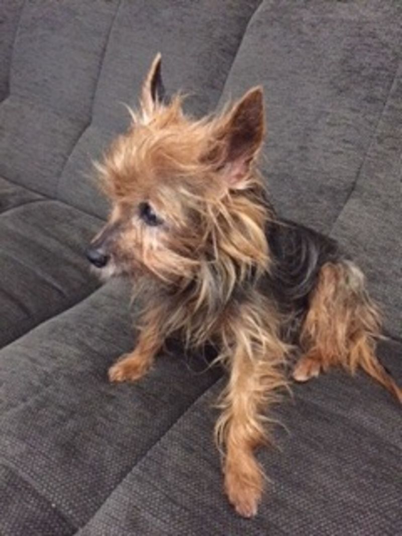 Download Sterben erinnerung bleibt fuer immer For iPhone Free Sterben Erinnerung Bleibt Fuer Immer