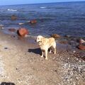  Piet ❤️ / am Strand von Bansin/Usedom