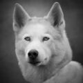 rest in peace 
2.12.2012-23.02.2023