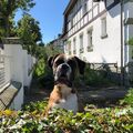 Heute ist da ein Metallzaun. Dort haben sie sich immer begrüßt.