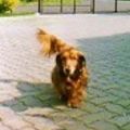 unser Axel, verst. 1992