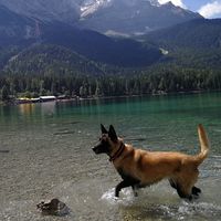 Badeausflug in den Bergen