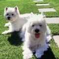 Lasse&Lili ♥️♥️❤️