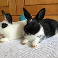Mimmi & Milko