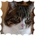 Meine grosse Liebe Mausi