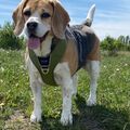 Mein Herzenskind ❤️
