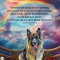 Ich vermisse dich unendlich. 