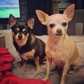 Mia & Bella