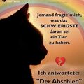 Dem Auge so fern dem Herzen ewig nah Gina ❤️