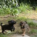 „Deine“ kleinen Jungs