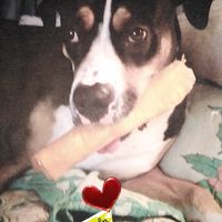 So war sie immer lieb und einfach ein Sonnenschein