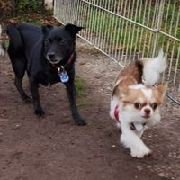 Paddy und Ivan