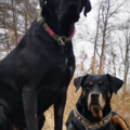 Kaya und Oscar