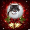 Frohe Weihnachten kleine Maus ♥️