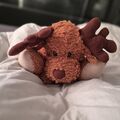 Dein Kuscheltier ❤️