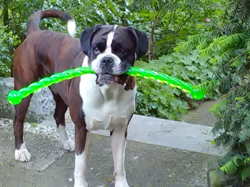 Ysabelle Du wirst für immer in unserem Herzen bleiben. Danke Dir für