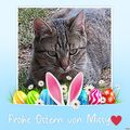 Ein lieber Gruß von Missy und allen meinen Lieblingen ❤️