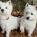 Lasse&Lili♥️♥️❤️