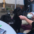 Ihr zwei und euer Eis ????