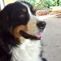 Greta
Sie war auch 5 Jahre als Sie zu uns kam
