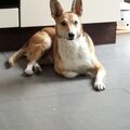Teil meiner Seele 