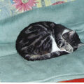 Lucky mit 14 Jahren