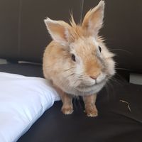 Du warst einfach meine besondere kleine Trulla!