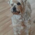 Unser lieber Jacki❤