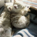 Lili&Lasse 