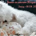 SnowyFell@outlook.de 