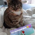 Mein Baby " Punka " in meinem Bett 