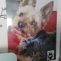 Unser Schatz Leo