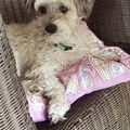 Unsere Lilli 