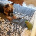 Hippo mit chico ❤️❤️❤️
