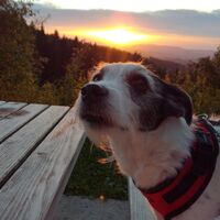 Urlaub Schwarzwald 2019