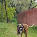 Für Lukas auf der Suche nach der perfekten Ecke