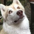 Wir werden dich nie vergessen Tiffels