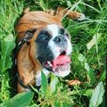 Und nach dem Spielen ruht ihr euch im kühlen Gras aus