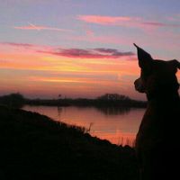 Amy