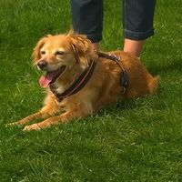 Urlaub im Allgäu