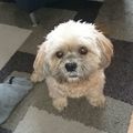 Unser Schatz Balou