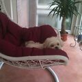 Lucy 17 Januar 2014 
          2 August 2022 

