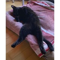 Chillin'