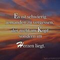 Dein Herrchen weint jeden Tag!