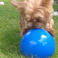 Du und dein Ball....❤️